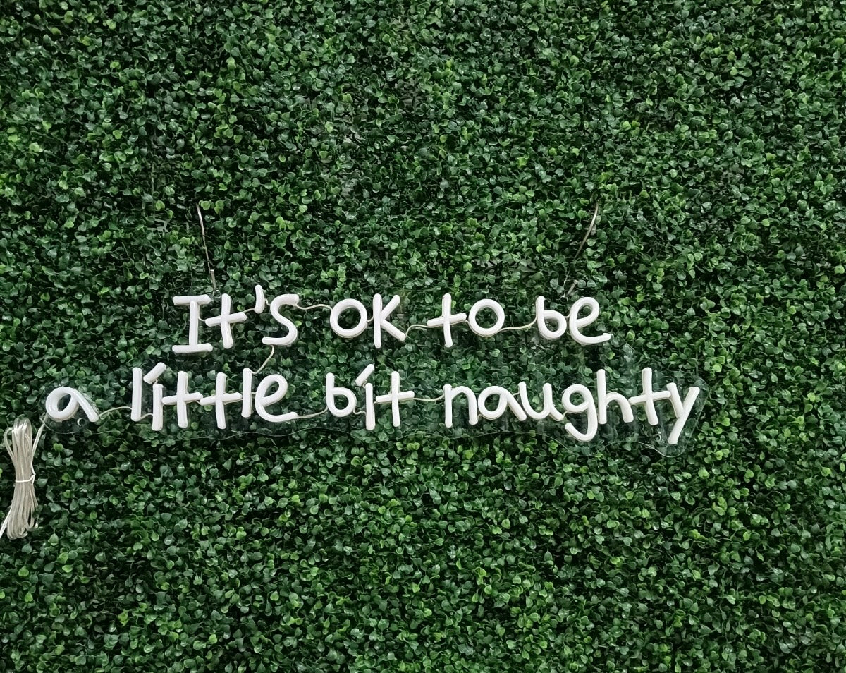 It’s ok to be a little bit naughty Neon Sign