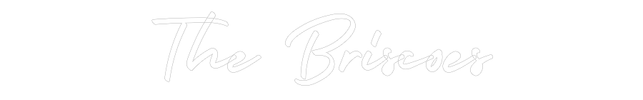 Custom Neon: The Briscoes